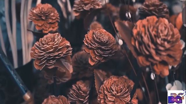 HYDERABAD CINEMATIC I HYDERABAD I HYDERABAD TOURIST PLACES смотреть онлайн