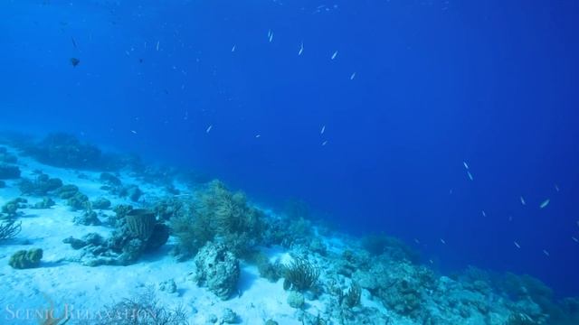 Indonesia 4K - Scenic Relaxation Film With Calming Music