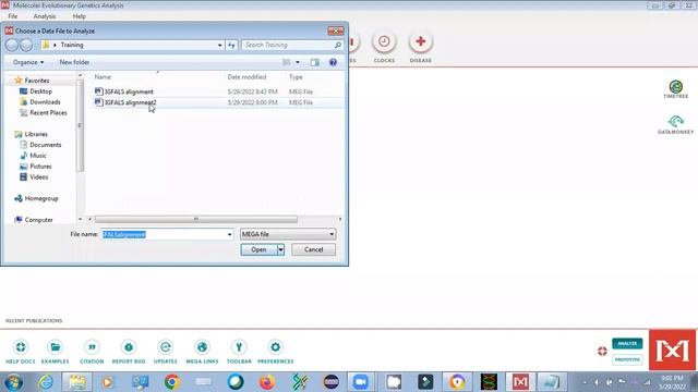 How to make phylogenetic tree using MEGA7 смотреть онлайн
