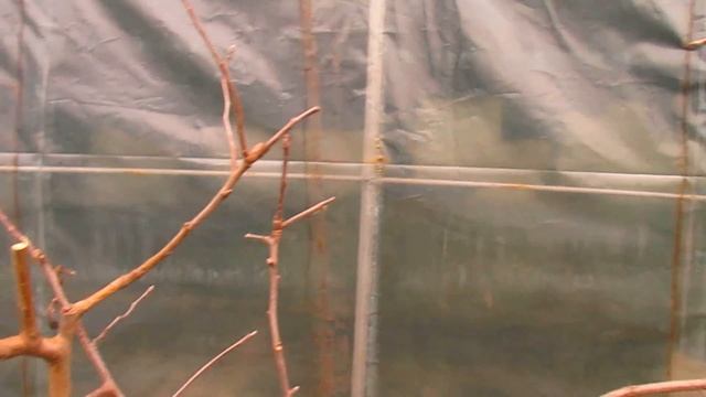 Искусство домашней чистоты