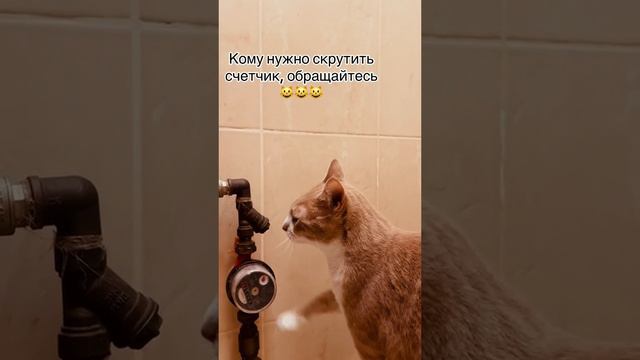 счëтчик скручивает смотреть онлайн
