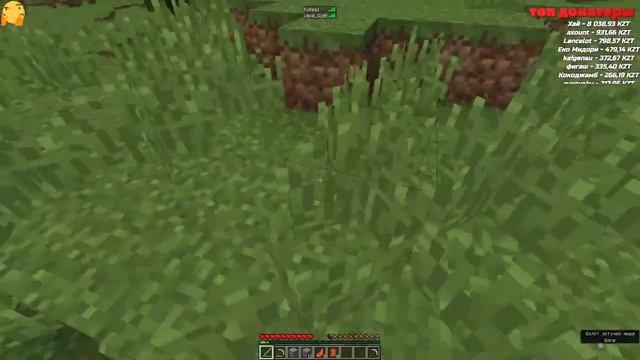 | майнкрафт | стрим? | мини игры и выживание |