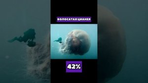 САМЫЕ РЕДКИЕ ОБИТАТЕЛИ ОКЕАНА ??