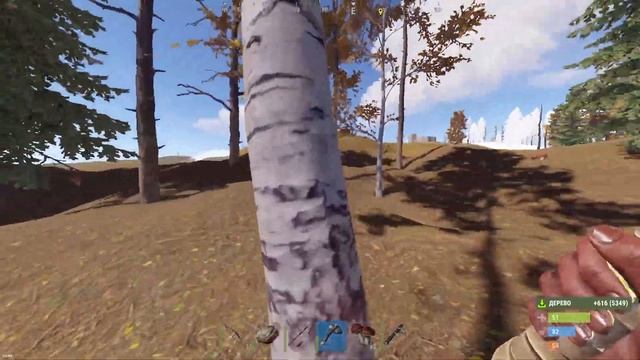 УЧУСЬ ИГРАТЬ : RUST/РАСТ - СОЛО ВАЙП С ОПОЗДАНИЕМ В СУТКИ, СМОГУ ЛИ ВЫЖИТЬ?/МНЕ НАДО ТРЕНИРОВАТЬСЯ смотреть онлайн