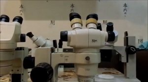 Лучшие микроскопы для ремонта электроники.Какой микроскоп лучше выбрать?