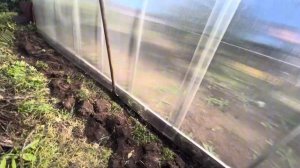 Наша установка теплицы 3х6, труба 25х25 на грунтозацепы. Шаг дуг 0.65. Поликарбонат 4 мм Актуаль БИ