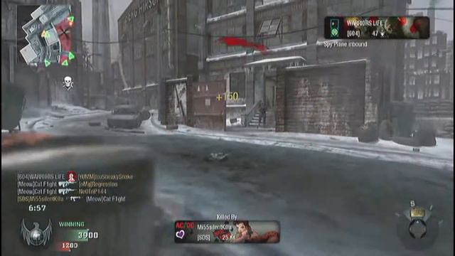Call of Duty Black Ops: Cat F1ght: Lan Parties смотреть онлайн