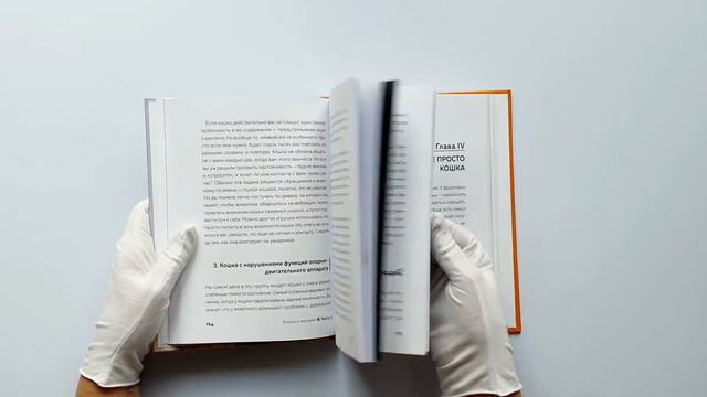 Кот в доме хозяин! Как понять своего питомца, подружиться и не навредить смотреть онлайн