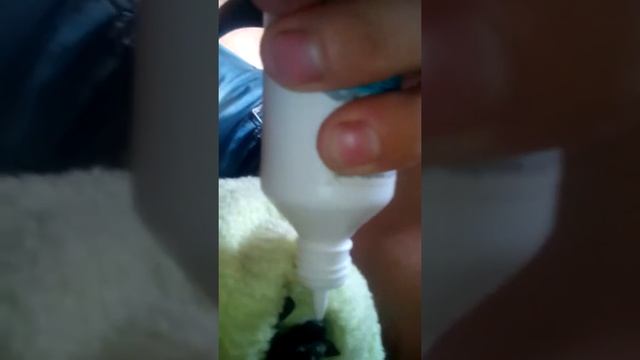 Кормление Летучей мышки!! смотреть онлайн