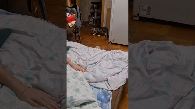 Если у вас нет собаки... смотреть онлайн