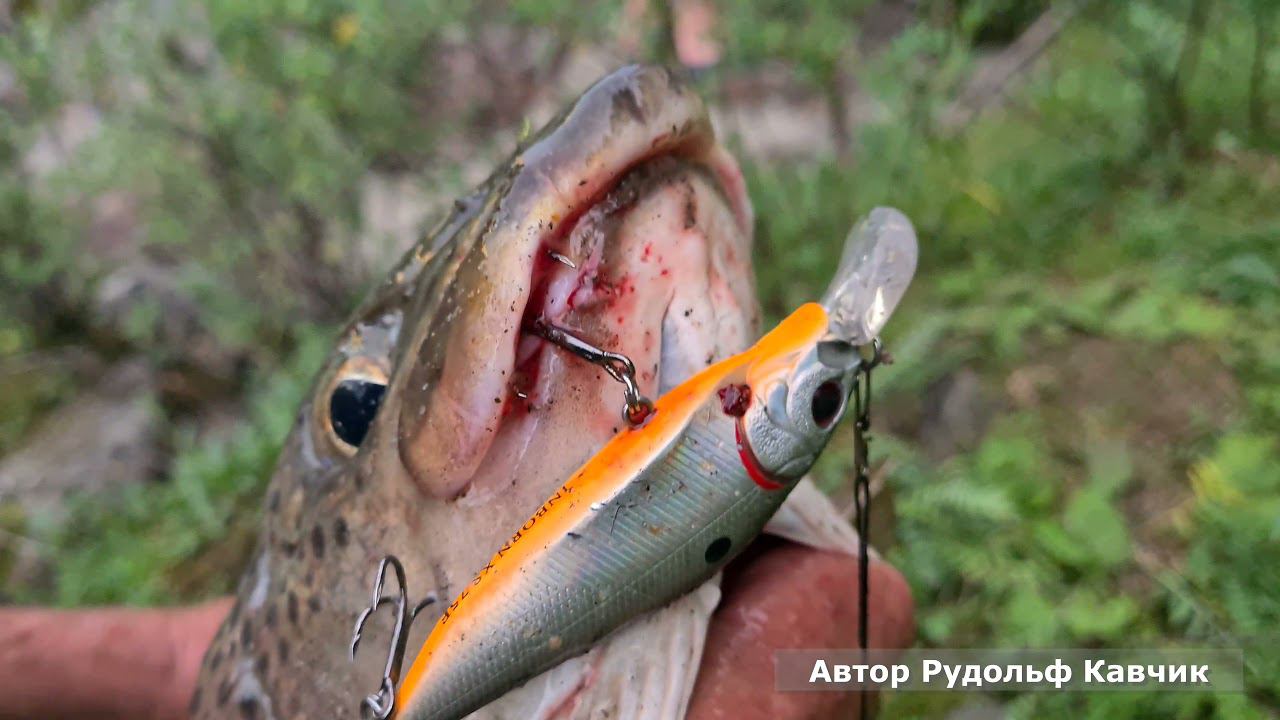 Золото Бамбуйки. Идём в разведку смотреть онлайн
