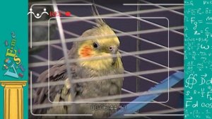 АЗН. Физика. Аэродинамика. Как и почему мы можем летать