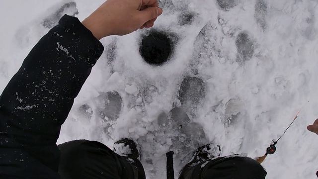 ЛОВЛЯ ОКУНЯ В БЕСКЛЁВЬЕ!!! ИНТЕРЕСНАЯ РЫБАЛКА НА ДВУХ ВОДОЁМАХ!!!