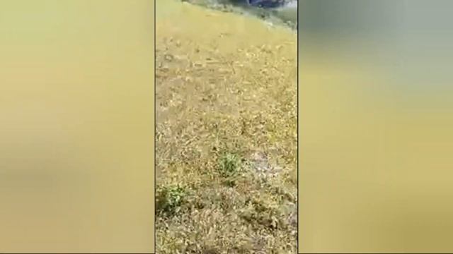 Пленэр в Талице Павла Злобина / Пленэр на природе / Документальный фильм/ Пейзаж