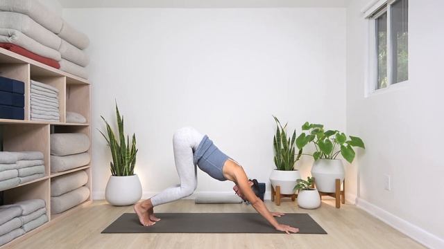 Yoga w/Sommer Sobin: Down Dog Basics смотреть онлайн