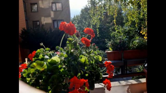 ЖУЛЬМАН!!! смотреть онлайн