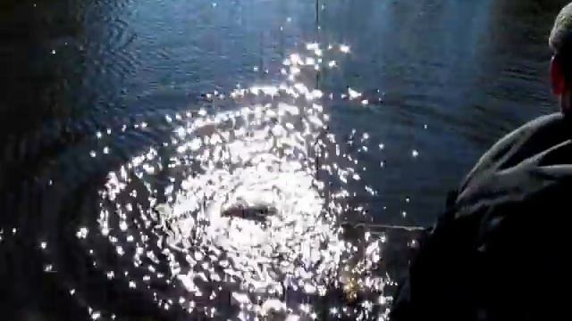 Куда столько?!! смотреть онлайн