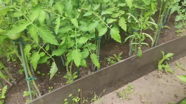 БИОГУМУС И ЗООГУМУС ДЛЯ ПОМИДОР И ОГУРЦОВ смотреть онлайн