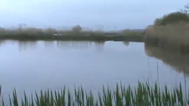 Рыбалка в Харьковской области, Печенеги рыбхоз, рыбалка на карпа обзор по прудам. смотреть онлайн