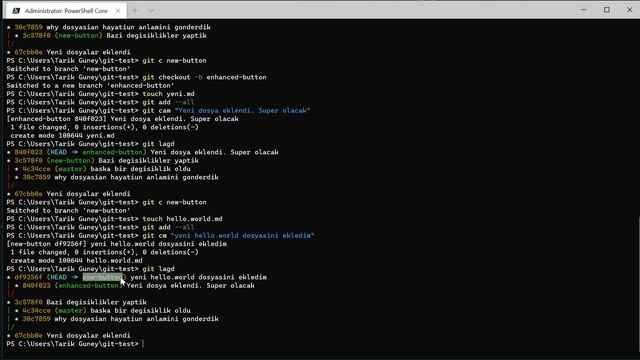 Branching Strategies in Version Control System (Git, Mercurial, etc.) смотреть онлайн