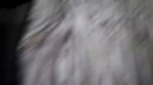 Борьба с соседями сверху