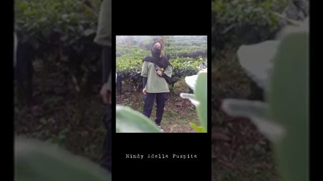 Nge-Vlog ke Perkebunan Cianteun Bogor West Java Indonesia || EED Campus Reunion || Our Long Journey смотреть онлайн