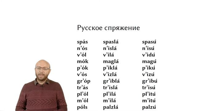 Фонологические правила в языках мира и в русском языке смотреть онлайн