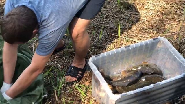 Выгрузка садка... Клёв не очень :) За 5 часов рыбалки... смотреть онлайн