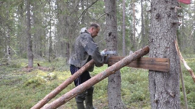 Продольник на лесном озере. Рыбалка в Карелии. смотреть онлайн