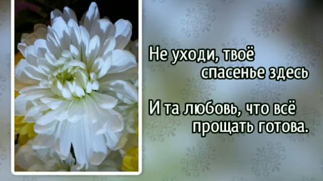 Не уходи, постой, не уходи (+) смотреть онлайн