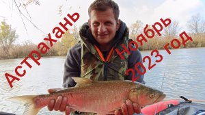 Рыбалка. Астрахань. ноябрь 2023