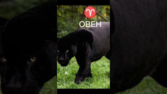 Кто ты по ЗЗ смотреть онлайн