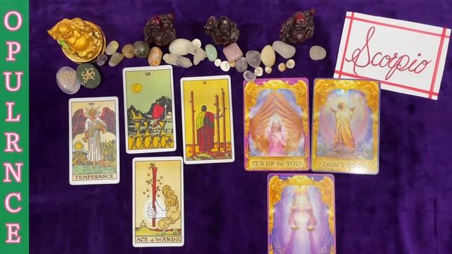 Scorpio ♏️ water sign1️⃣~?September??#tarot #youtube #tarotcards смотреть онлайн