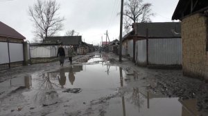 Табор цыган в Берегово (цыгане без ретуши) | Места и люди