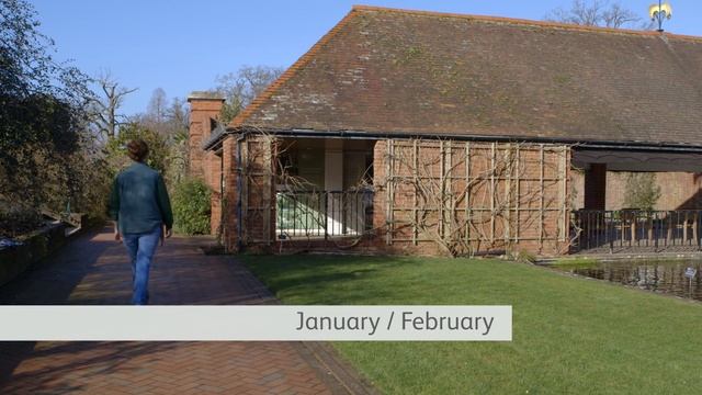 How to prune a Wisteria in winter and summer | Grow at Home | Royal Horticultural Society смотреть онлайн