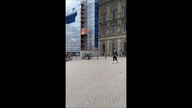 Первый раз на пароме с машиной из Финляндии в Швецию | Парковки |Стокгольм и музей Васа смотреть онлайн