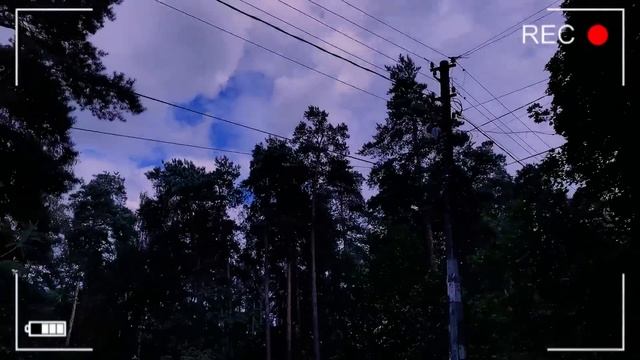 Сняли РЕАЛЬНОГО СИРЕНОГОЛОВОГО на камеру! / СТРИМ / переписка Димы смотреть онлайн