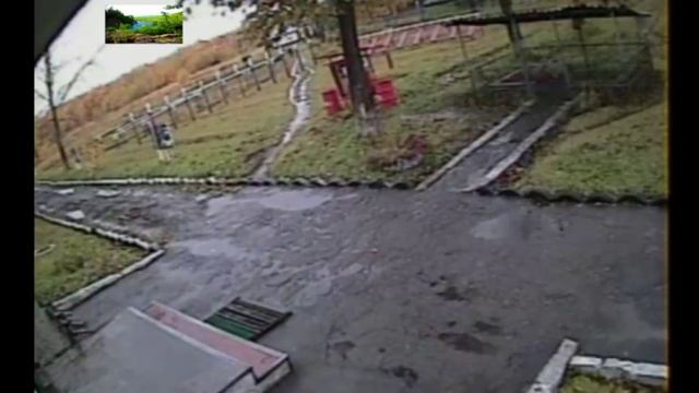 Медведь напал на человека смотреть онлайн
