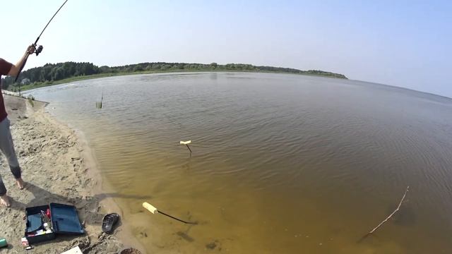 Фидерная рыбалка на водохранилище Селец. смотреть онлайн