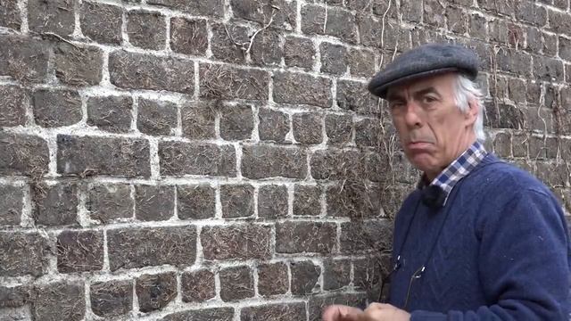 Removing Ivy from walls, here is how I do it смотреть онлайн