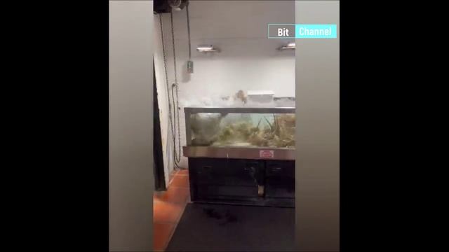 Подборка приколов 09.03.2023. Смотреть всем. Смеялся до слез смотреть онлайн