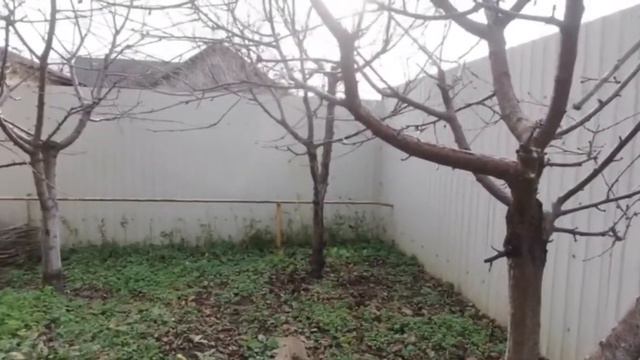 Лучше жить в Краснодаре !!! смотреть онлайн