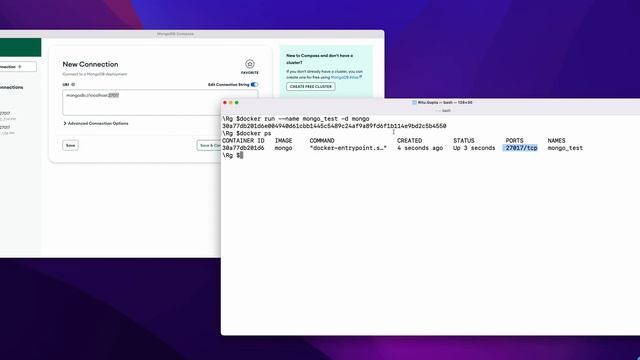 Connect To MongoDbCompass From Docker. | Mongodb Compass Port Issue Fix.