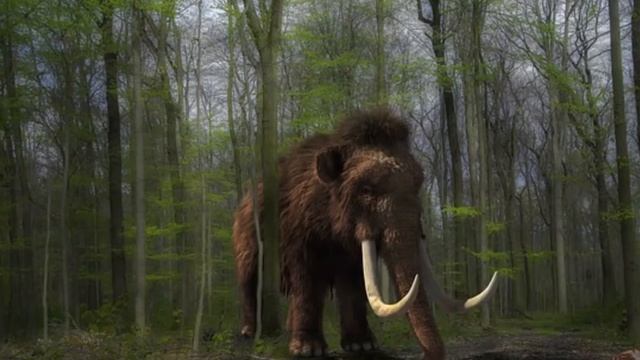 Шерстистый мамонт /рассказы о доисторических животных смотреть онлайн