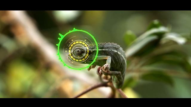 Tracking Motion - HUD element - Audio React смотреть онлайн