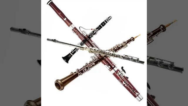 Баев Евг. Квартет 1 и 2 части (флейта, гобой, кларнет, фагот) смотреть онлайн