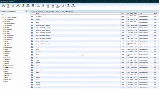 How to find which database your WordPress install uses. смотреть онлайн