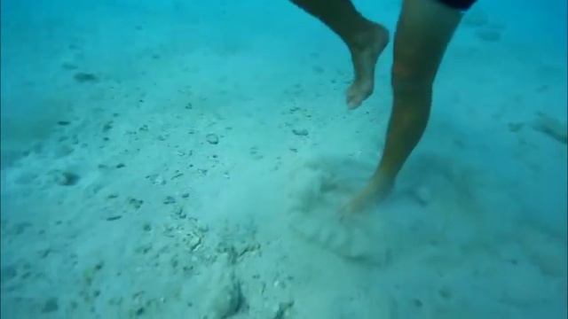 Египет / Хургада / съёмка экскурсии - "Райский остров" | Egypt / Hurghada смотреть онлайн