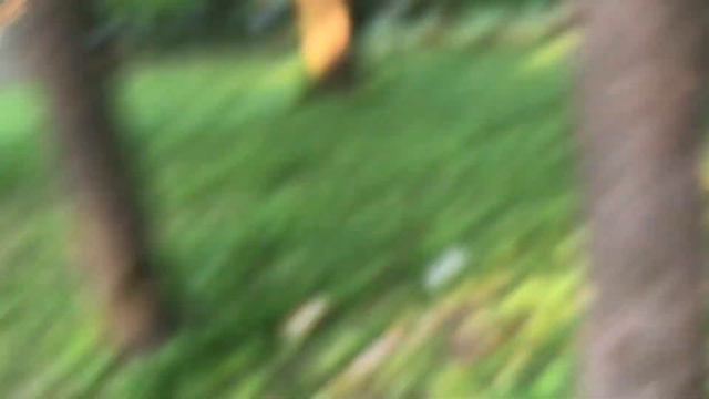 Балдёжные конфеты bean boozled смотреть онлайн