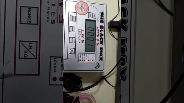 Тестирование на разрыв плетеного шнура Intech Micron x4 #0.2PE смотреть онлайн